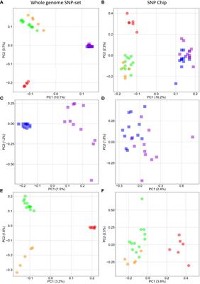 High throughput SNP chip as cost effective new monitoring tool for assessing invasion dynamics in the comb jelly Mnemiopsis leidyi